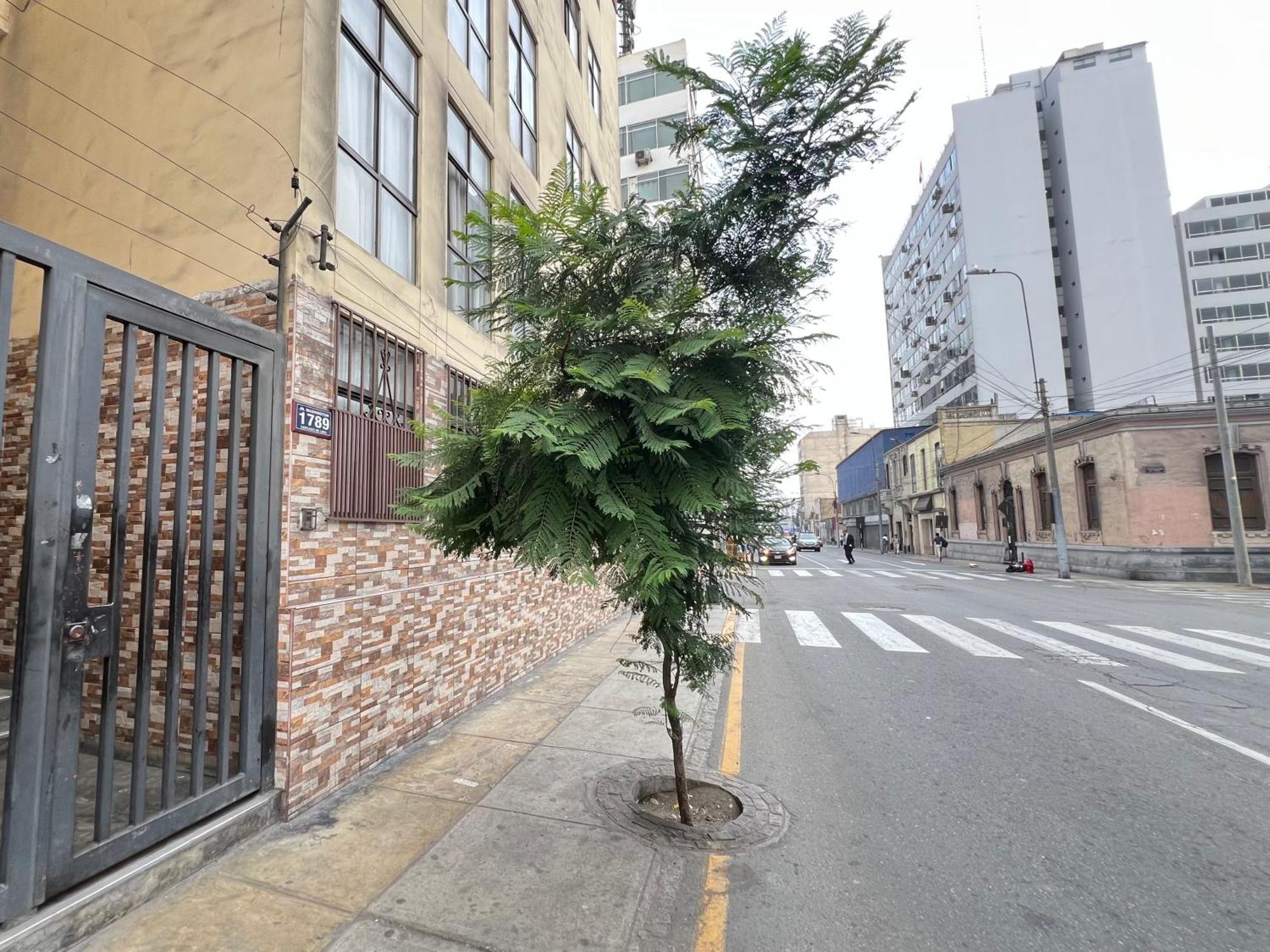 Downtown Lima Apt With May Promo Book & Save Big Exteriér fotografie